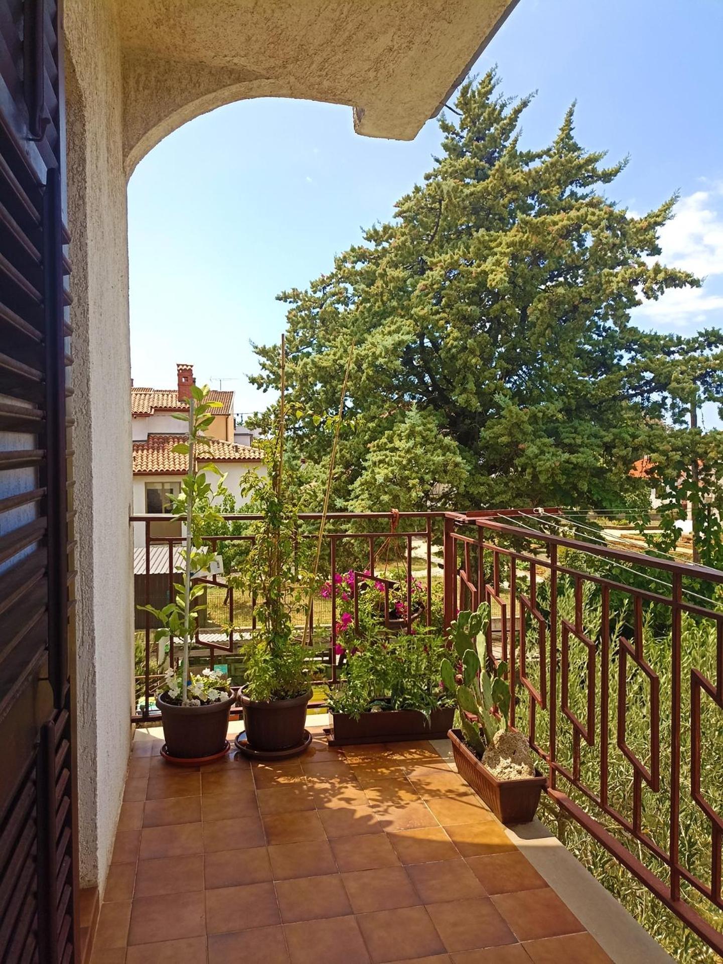 Apartments Villa Laura Pula Buitenkant foto